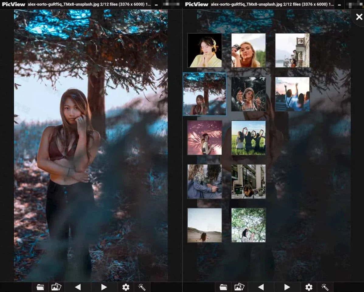 PicView v2.2.5 开源免费图像浏览器，中文多语绿色版-Empower资源站