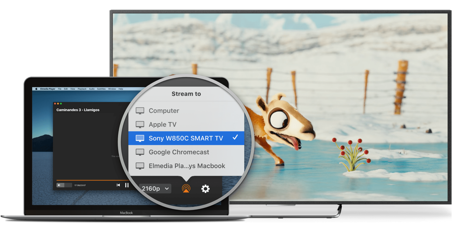 Elmedia Player 8.21 mac视频播放器-Empower资源站