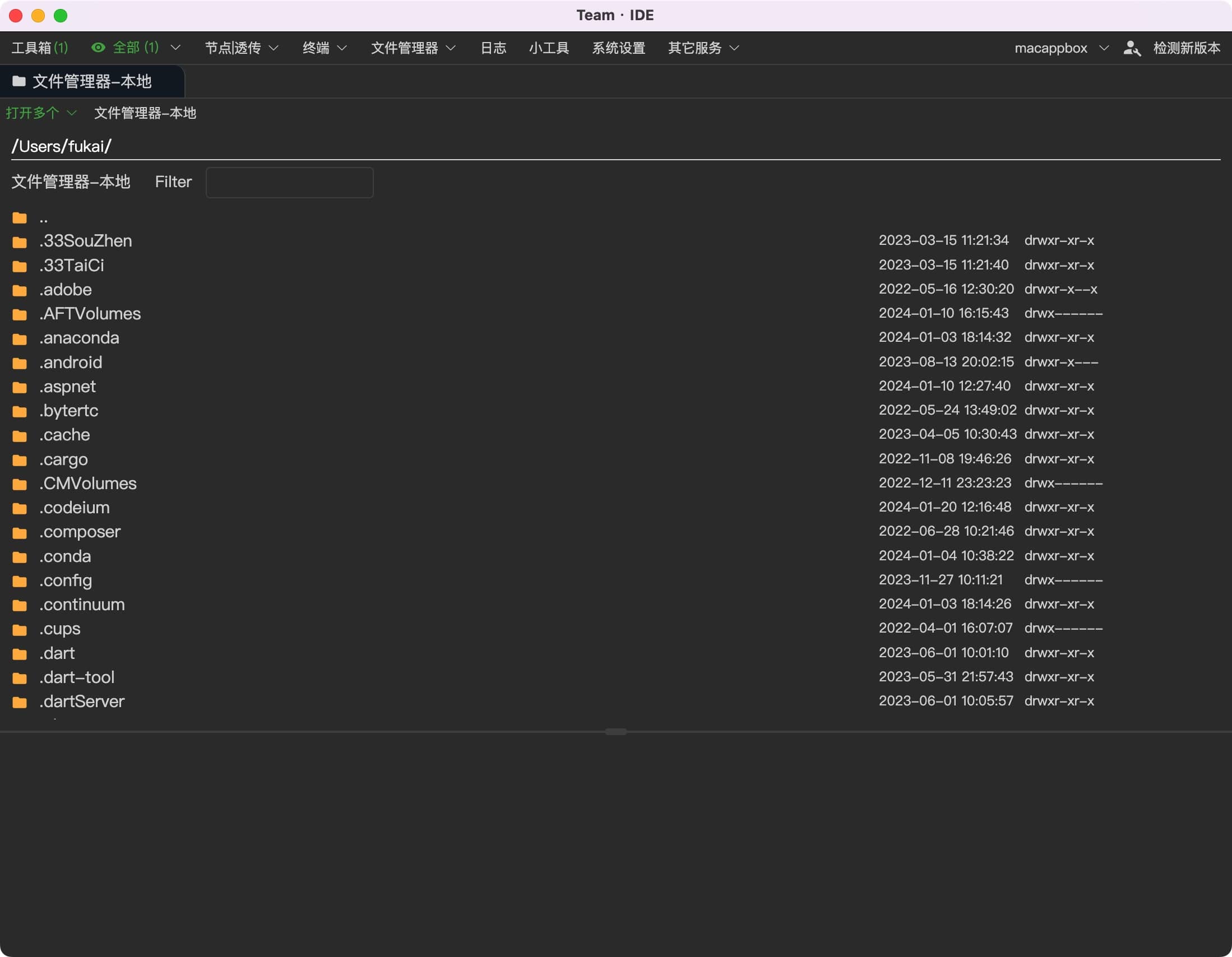 图片[3]-Team IDE for mac 2.6.6：多数据库管理、综合开发环境-Empower资源站