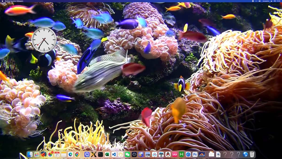 Desktop Aquarium Wallpapers 2.2.0 海洋主题屏保-Empower资源站
