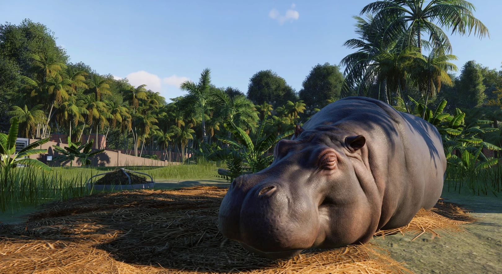 《Planet Zoo 动物园之星》v1.2.5.63260 官方中文版-Empower资源站