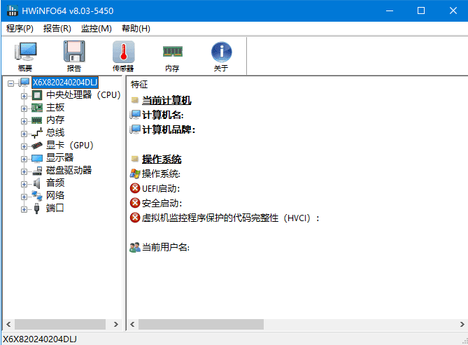 HWiNFO(专业系统信息检测工具) v8.12.5555 中文绿色版-Empower资源站