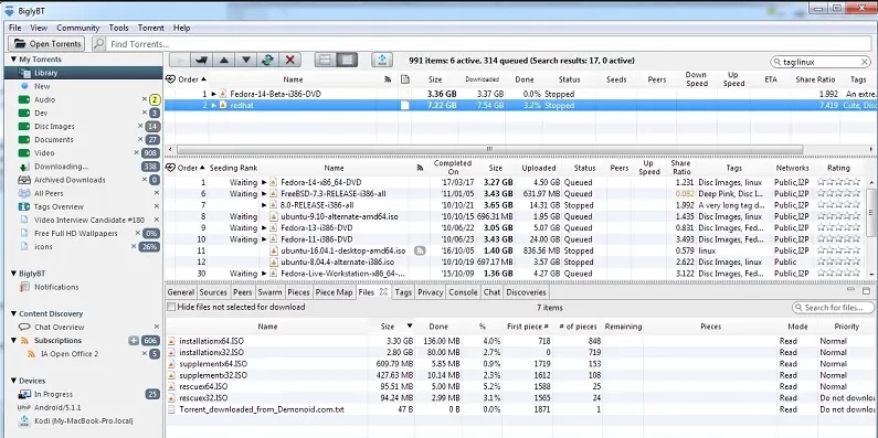 BiglyBT 开源免费BT种子客户端 v3.7.0 官方中文版-Empower资源站